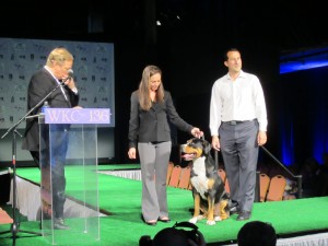 Oscar at Westminster