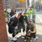 Oscar The Grouch (Greater Swiss Mountain Dog) celebrates St. Patrick's day with his fans