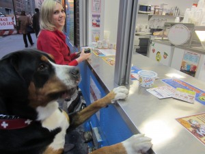 Oscar The Grouch (Swissy) orders his dog treats