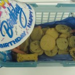 FreshPet Dog Cookies for Oscar The Grouch (Swissy)'s Birthday