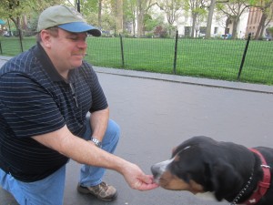 Oscar The Grouch Greater Swiss Mountain Dog Looks for Treats