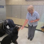 Oscar The Grouch Swissy Loves His Mail Lady