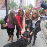 Oscar The Swissy Meets New Fans at Cinco De Mayo BarCrawl