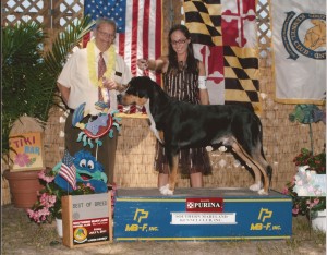 Oscar The Grouch & Ashley Cuzzolino Win Best of Breed at the Dog Show (Greater Swiss Mountain)