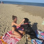 Oscar The Grouch Greater Swiss Mountain Dog at the beach