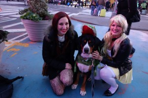 Oscar The Grouch Greater Swiss Mountain Dog Halloween