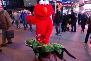 Oscar The Grouch Dog Meets Elmo (Swissy Halloween)