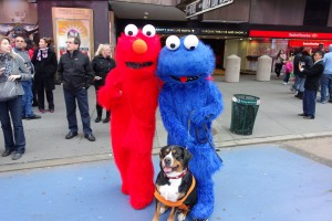 Oscar The Grouch Dog Meets Elmo and Cookie Monster