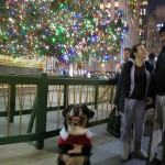 Oscar The Grouch Dog at the Rockefeller Center Christmas Tree