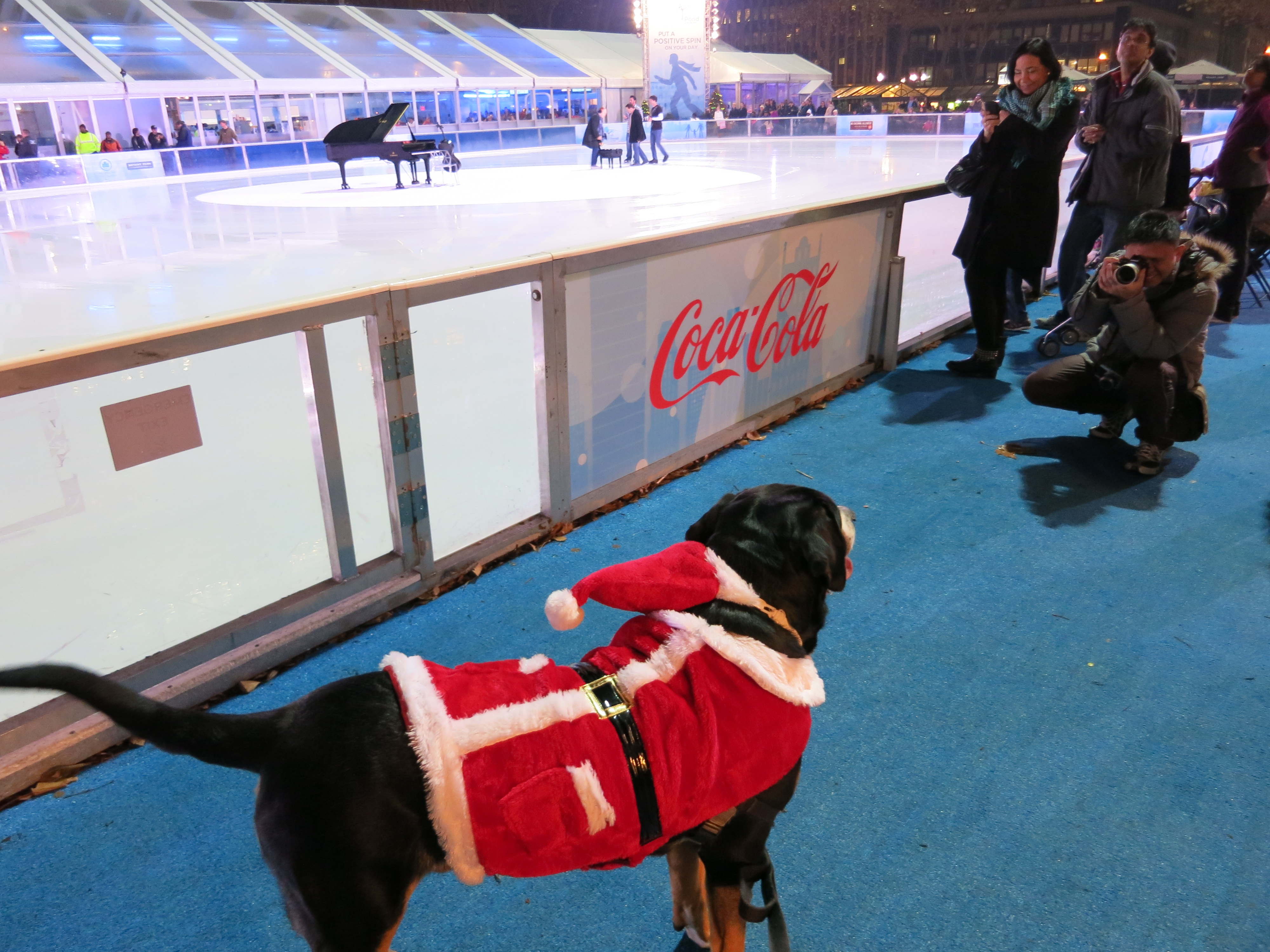 Las Vegas Ice Skating Dog Earns AKC National Award