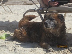 Greg Laying Under The Beach Chair; A Swissy Wouldn't Fit