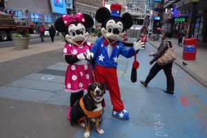 Oscar The Grouch GSMD Met Mickey Mouse During the Hurricane In Times Square