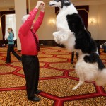 Some back stage fun at the Westminster Kennel Club 2013 Press Conference