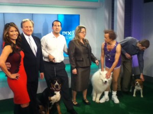 Oscar The Grouch Greater Swiss Mountain Dog with David Frei & Richard Simmons