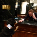 Swissy Oscar The Grouch gets a Happy Birthday from his doorman