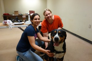 Oscar The Grouch Dog Meets The Eye Doctor